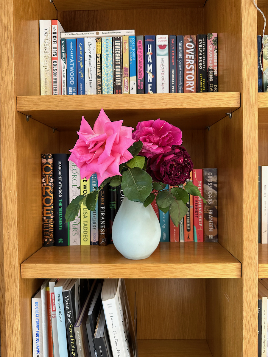 Vase full of pink and deep red roses in bookcase shelf